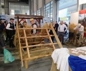 Narodowa Wystawa Rolnicza w Poznaniu