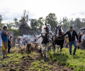 „Jesień w polu i zagrodzie” 2023 r. - fotorelacja i podsumowanie