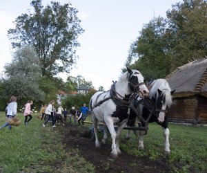 Jesień w polu i zagrodzie. Etnograficzny festiwal kultury ludowej 2022 - fotorelacja