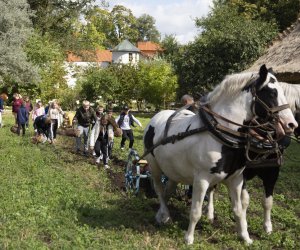 Jesień w polu i zagrodzie. Etnograficzny festiwal kultury ludowej 2022 - fotorelacja