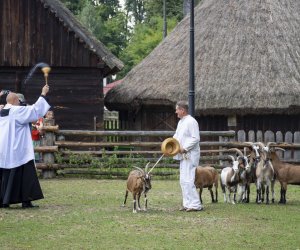 XXI Podlaskie Święto Chleba - fotorelacja