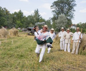 XX Podlaskie Święto Chleba - fotorelacja