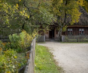 NIECOdziennik muzealny - Wieś w październiku