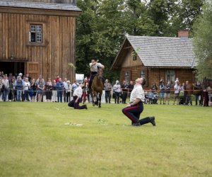 XII Zajazd Wysokomazowiecki