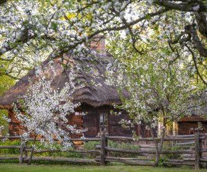 Majówka w Muzeum