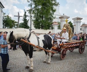 XIX Podlaskie Święto Chleba - fotorelacja